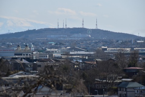 DSC_0181