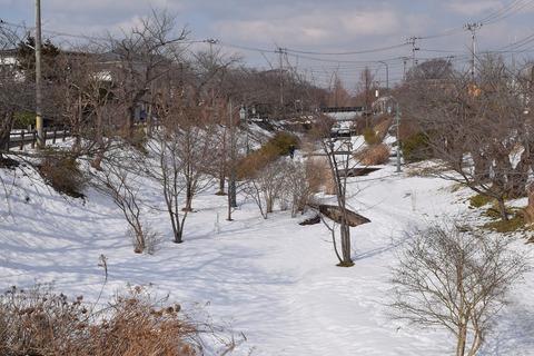 DSC_0080