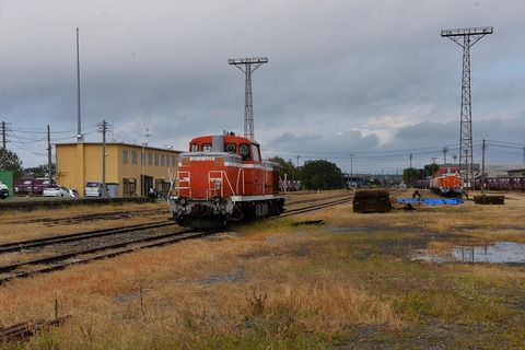DSC_2695