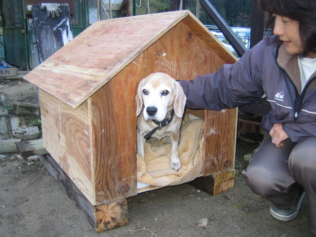 けんちゃんハウス 吉木椎茸農園 けんちゃんハウス 吉木椎茸農園