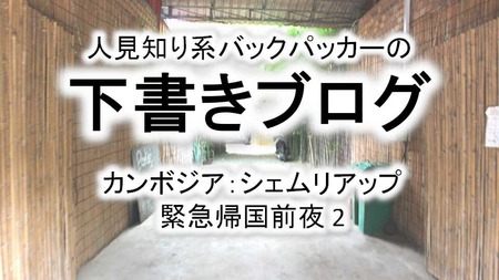 緊急帰国前夜2