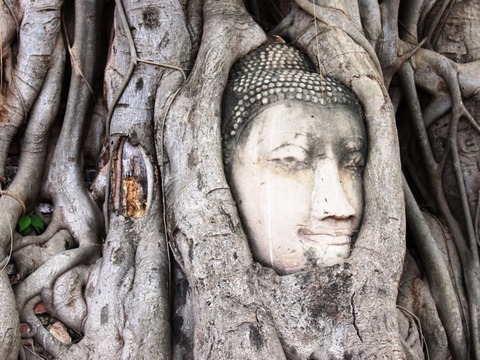 ワットマハタートの仏頭@旅ラジオ「アジアしあわせ特急」