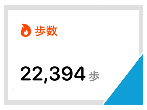 22394歩