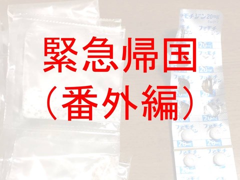 緊急帰国前夜7(番外編)