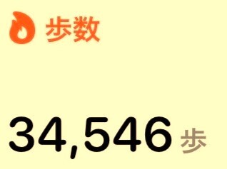 20230303 歩数