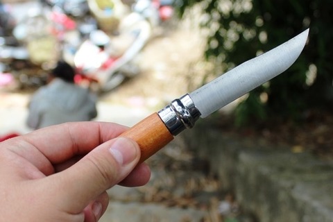 日本から持参の折りたたみナイフをこの旅で初めて使う。