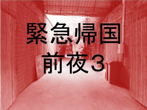 緊急帰国前夜3