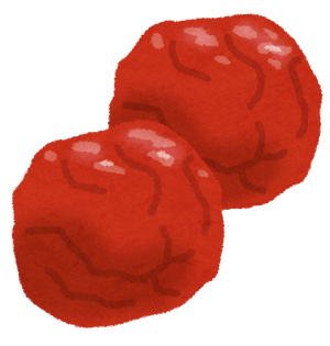 food_umeboshi