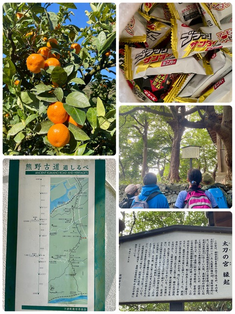 1201 熊野古道ツアー (2)