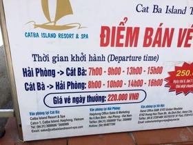 カットバ ハイフォン 船 時刻表