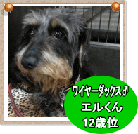 hogo147.gif