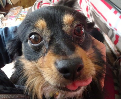 D972660E-369B-425E-BB0E-8F7B26100DDD