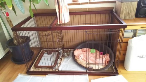 31508D42-2CA6-4EEC-A20E-E1CF06DC37D0