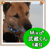 imagemu1.gif