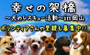架け橋