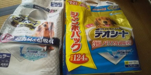 1588443232_188 - コピー