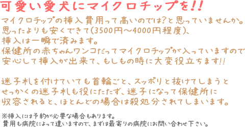 top_20111210111926.gif