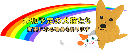 im (2)