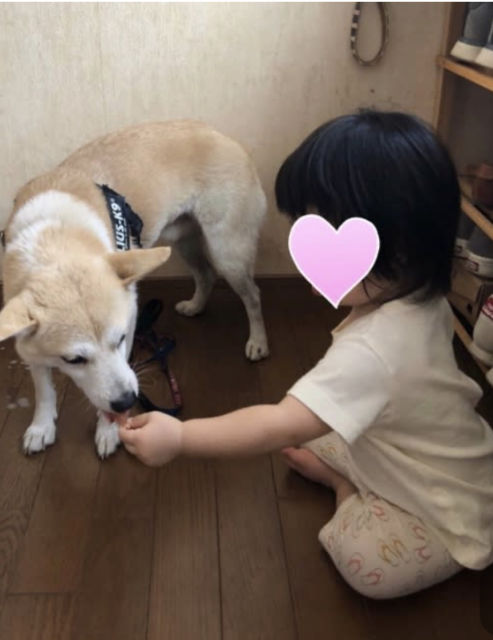 イチロー 正式譲渡になりました 幸せの架橋 In 岡山 イチロー 正式譲渡になりました 幸せの架橋 In 岡山