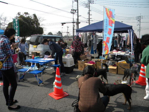 image24.jpg