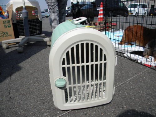 image14.jpg