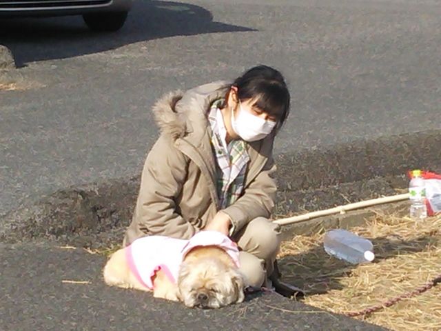 1402862439_200.jpg