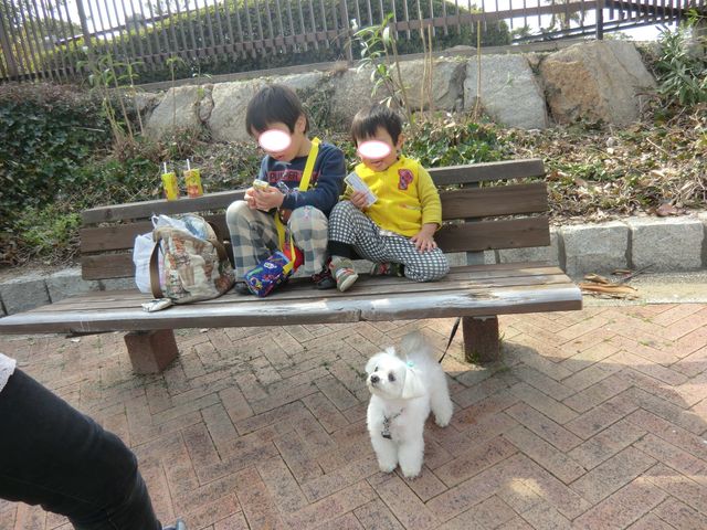 chi1_20130324155347.jpg