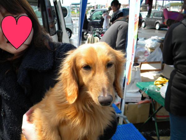DSCN4869.jpg