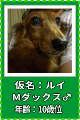 ルイ