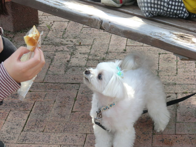 chi2_20130324155346.jpg