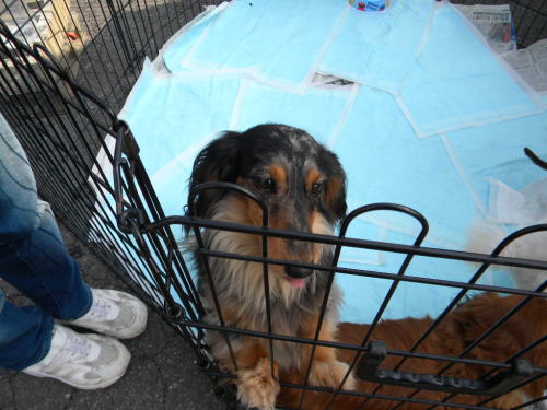 image31.jpg