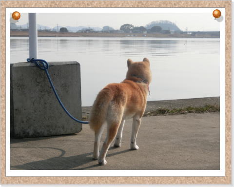 dd6bb491b8a962e84a2c1c8ccdbd2a5b