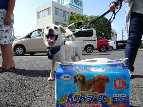 なつ