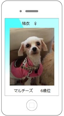”結衣"