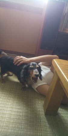 20B7DA44-DB12-4155-9A7F-BF2398C00A45