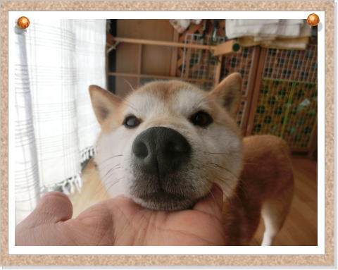 8f9c4ce8f73b24102b26101132782bed