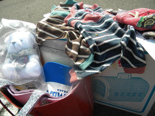 image13.jpg