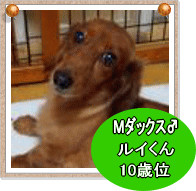 pp3.gif