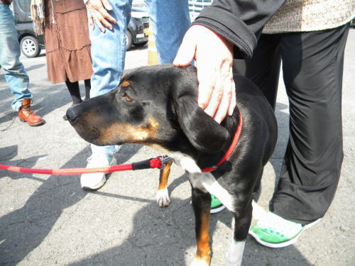 image32.jpg