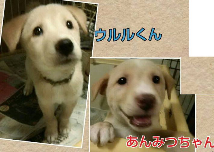 1_201410081413514da.jpg
