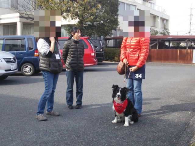 1402872663_93.jpg