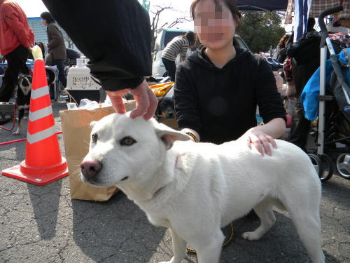 image9.jpg