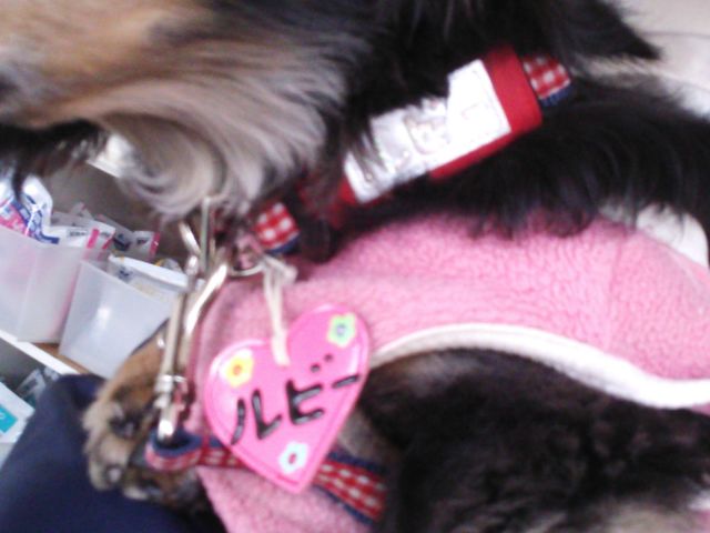 1402857827_188.jpg