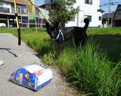 くろ