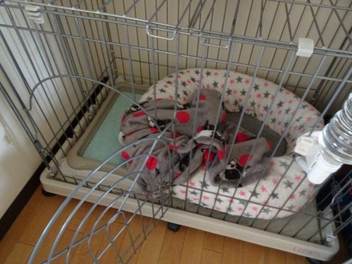 4D7F2EC2-A226-41BB-A5F2-E520A34277D3