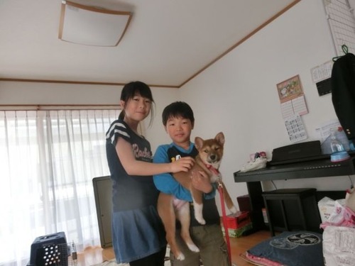 ミー3