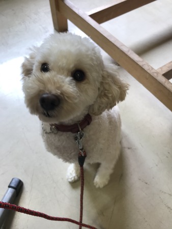 AFCC2C2C-67B3-4982-9CC0-F9BCF8393D08