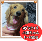 imagekona