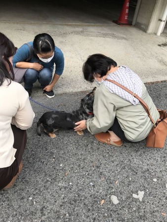 くろの4