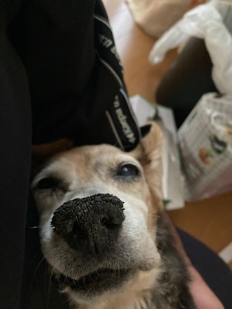 れん